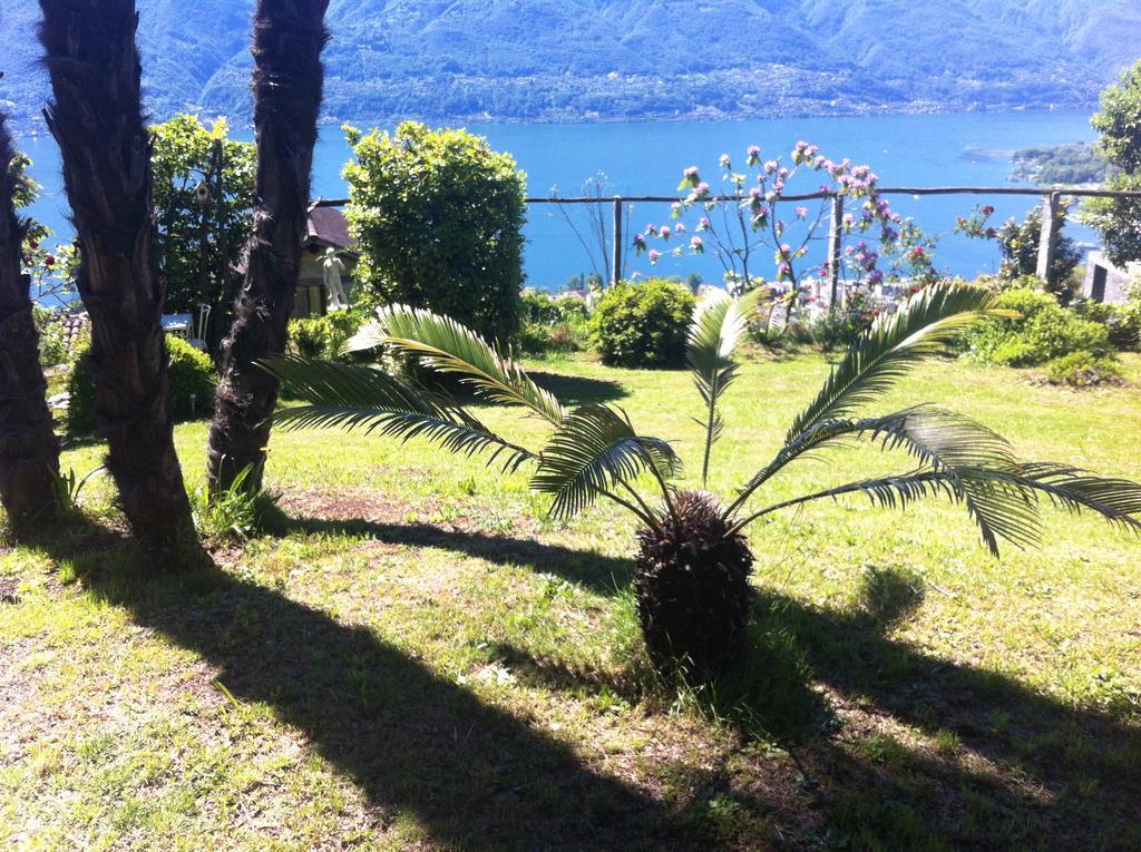 Sonnenstrahl Lägenhet Locarno Exteriör bild
